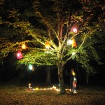 Fontainebleau, Arbre, robes et lumière – Travail à six mains – 2010